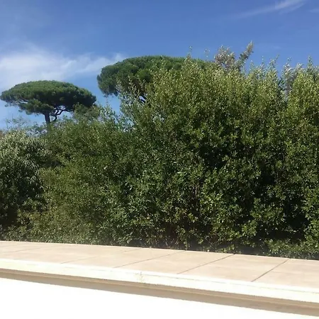 Les Volets Bleus Six Fours Holiday home *